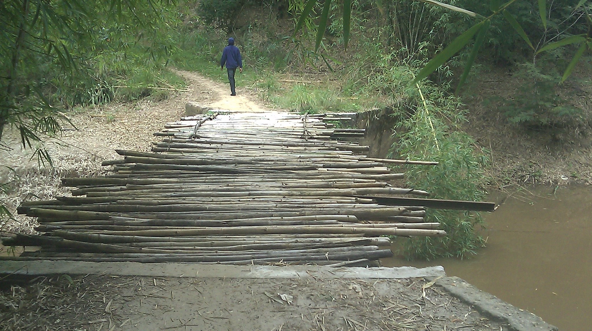 Pirogues sur le Sankuru